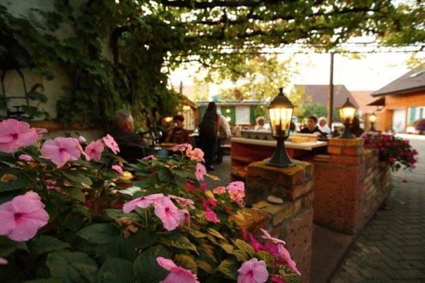 Gasthaus Hotel Adler Endingen am Kaiserstuhl エクステリア 写真